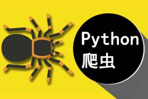 Python分布式爬虫与逆向进阶实战