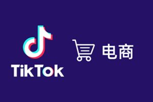 TikTok全套电商实战课：ADS投流+达人带货+GMV MAX增长打法