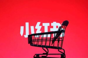 小红书电商从0到1实操运营课，从零开始，简单易学